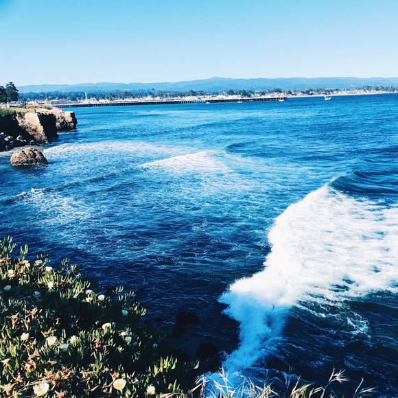 Meet your posher - Picture 5 of 7